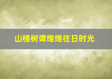 山楂树谭维维往日时光