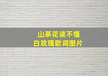 山茶花读不懂白玫瑰歌词图片