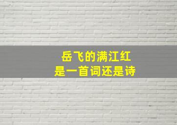 岳飞的满江红是一首词还是诗