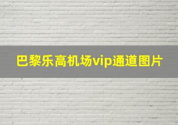 巴黎乐高机场vip通道图片