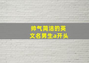 帅气简洁的英文名男生a开头