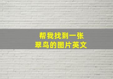 帮我找到一张翠鸟的图片英文