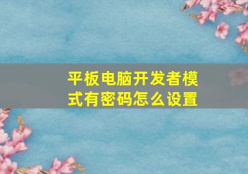 平板电脑开发者模式有密码怎么设置