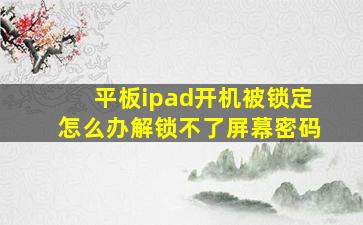 平板ipad开机被锁定怎么办解锁不了屏幕密码