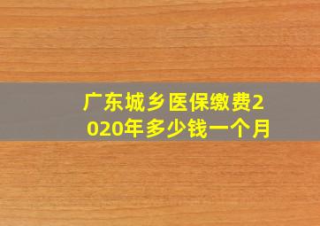 广东城乡医保缴费2020年多少钱一个月