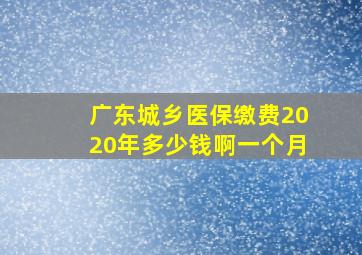 广东城乡医保缴费2020年多少钱啊一个月