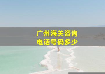 广州海关咨询电话号码多少