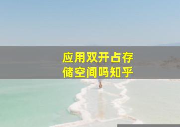 应用双开占存储空间吗知乎