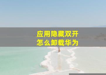 应用隐藏双开怎么卸载华为