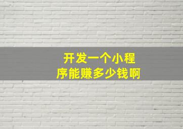 开发一个小程序能赚多少钱啊