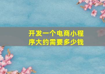 开发一个电商小程序大约需要多少钱