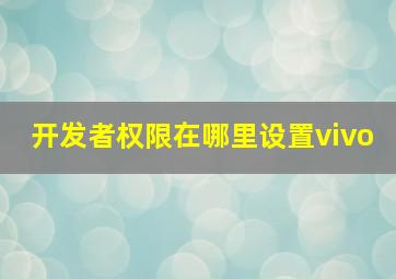 开发者权限在哪里设置vivo