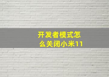 开发者模式怎么关闭小米11