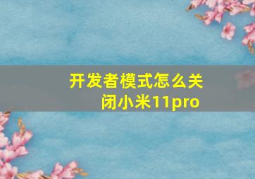 开发者模式怎么关闭小米11pro