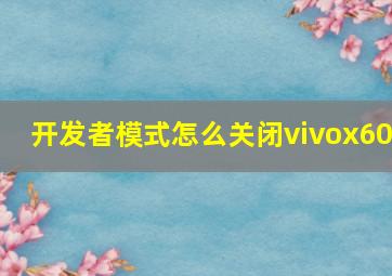 开发者模式怎么关闭vivox60