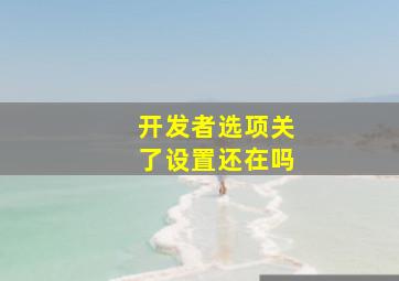 开发者选项关了设置还在吗