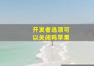 开发者选项可以关闭吗苹果