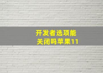 开发者选项能关闭吗苹果11