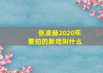 张凌赫2020年要拍的新戏叫什么