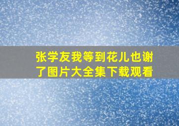 张学友我等到花儿也谢了图片大全集下载观看