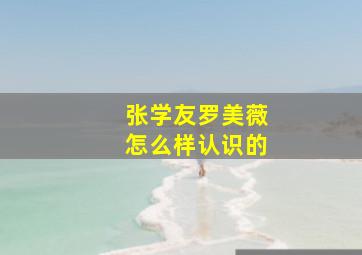 张学友罗美薇怎么样认识的