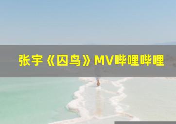 张宇《囚鸟》MV哔哩哔哩