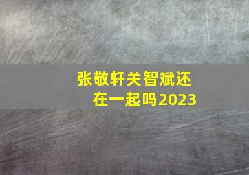 张敬轩关智斌还在一起吗2023