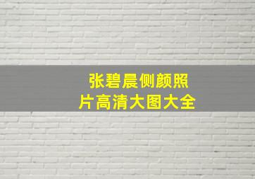 张碧晨侧颜照片高清大图大全