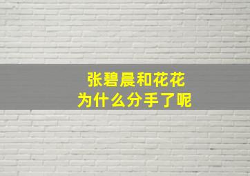 张碧晨和花花为什么分手了呢