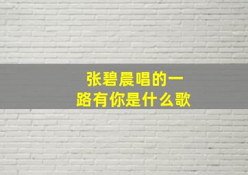 张碧晨唱的一路有你是什么歌