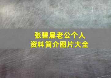 张碧晨老公个人资料简介图片大全