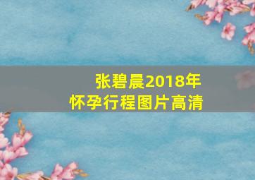 张碧晨2018年怀孕行程图片高清