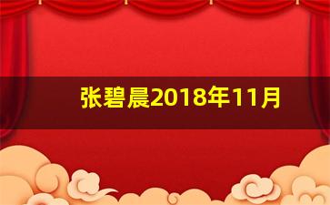 张碧晨2018年11月