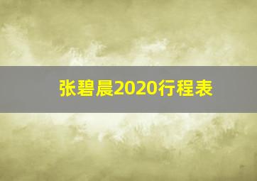 张碧晨2020行程表