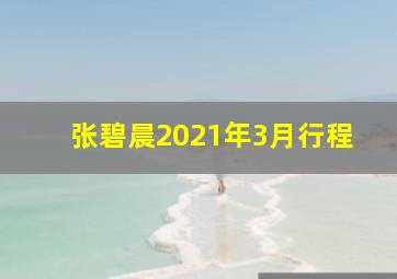 张碧晨2021年3月行程