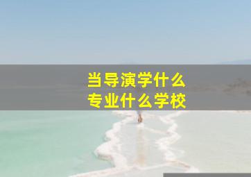 当导演学什么专业什么学校