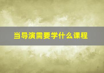 当导演需要学什么课程