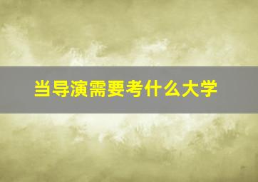 当导演需要考什么大学