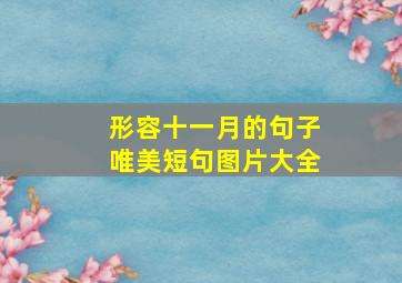 形容十一月的句子唯美短句图片大全