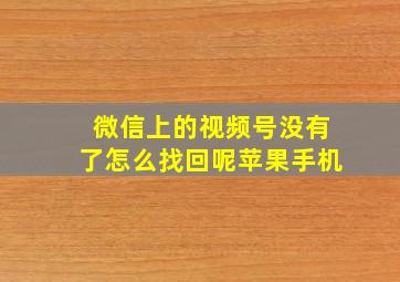 微信上的视频号没有了怎么找回呢苹果手机