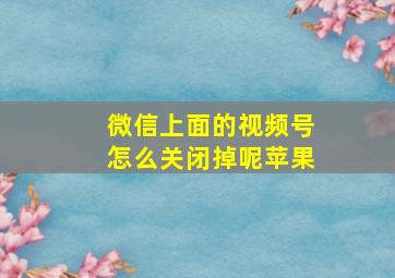 微信上面的视频号怎么关闭掉呢苹果