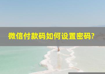 微信付款码如何设置密码?