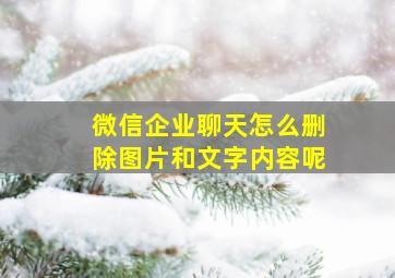 微信企业聊天怎么删除图片和文字内容呢