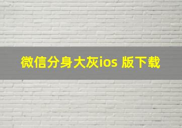 微信分身大灰ios 版下载