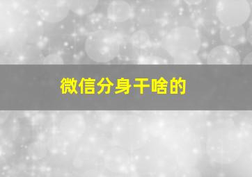 微信分身干啥的