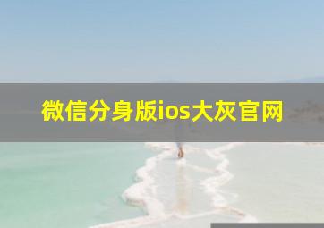 微信分身版ios大灰官网