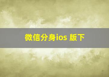 微信分身ios 版下