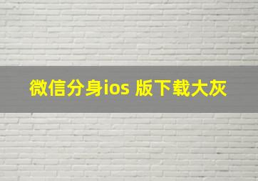 微信分身ios 版下载大灰