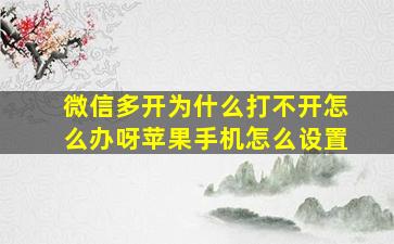 微信多开为什么打不开怎么办呀苹果手机怎么设置