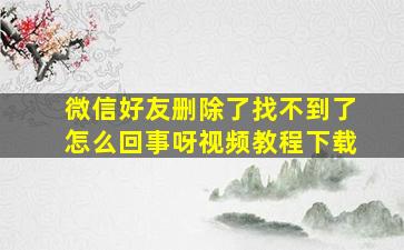 微信好友删除了找不到了怎么回事呀视频教程下载